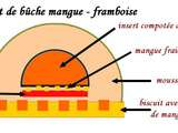 Projet bûche de Noël mangue - framboise