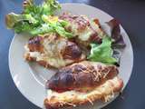 S croissants au jambon (au companion ou pas)