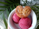 Sorbet fruits rouges de Cyril Lignac