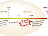 Utilisation de l'oeuf selon sa fraîcheur
