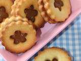 Biscuits à la Pâte à Tartiner Coco