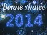 Bonne annee 2014