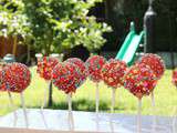 Cakes Pops au Jardin