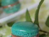 Macarons Menthe-Chocolat