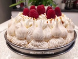 Pavlova : premier essai