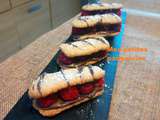 Langues de chat chocolat framboise