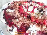 Pavlova fruits rouges/ chocolat