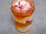 Pudding aux graines de chia fraise, mangue et coco