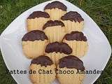 Pattes de Chat Chocolat Fleur d'Oranger Amande