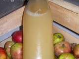 Jus de pomme - gingembre maison