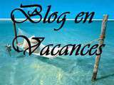 Blog en pause