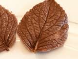 Feuilles en Chocolat - Tuto