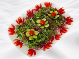 Salade Healthy de Roquette : Une Présentation Élégante et Fleurie pour Éblouir Vos Invités