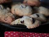 Biscuits aux cranberries séchées