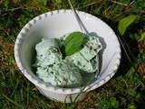 Glace Menthe Chocolat