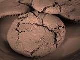 Macarons au chocolat et noix de coco