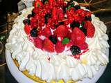 Pavlova aux fruits rouges gourmande