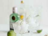 Comment faire : Préparer un sorbet au Gin et au Tonic