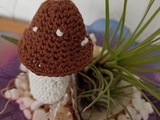 Champignon au crochet