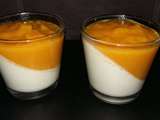 Panna cotta mangue coco