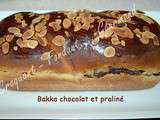 Babka au chocolat et PRALINÉ