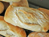 Baguette Monge au levain Kayser
