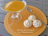 Coulis de mangue au Thermomix