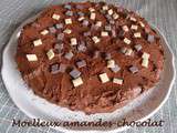 Moelleux amandes-chocolat