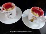 Mug Cake crumble framboise-citron – Foodista Challenge # 32