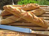 Pain rustique 1 2 3