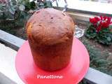 Panettone délicieux