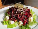 Salade de choux rouge et alfalfa à la féta