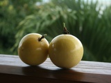 Confiture de fruits de la passion