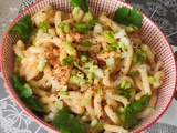Udon au sésame