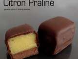 Chocolats fins : citron et praliné