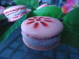 Macarons à l'hibiscus et églantier