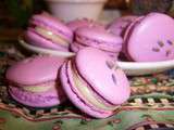 Macarons au miel et fleurs de lavande