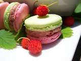 Macarons aux fraises des champs