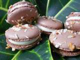 Macarons chocolat et noix de coco