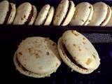 Macarons noisettes Madirofolo