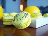 Macarons tout citron