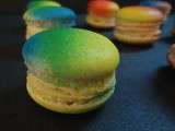 Macarons tutti frutti