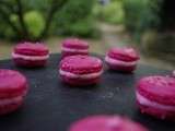 { Envie des } Macarons à la rose de Marine