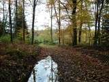 Automne, de Morvan en Médoc