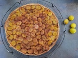 Tarte fine aux mirabelles