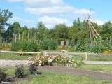 Visite du jardin conservatoire  Flore et vie 