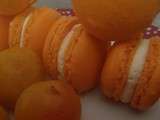 Macarons Mirabelles