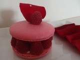 The Macaron Ispahan (Pierre Hermé)