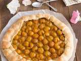 Tarte rustique aux mirabelles