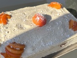 Entremets vanille insert abricot